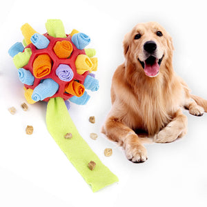 NoseQuest™ Foraging Ball product view