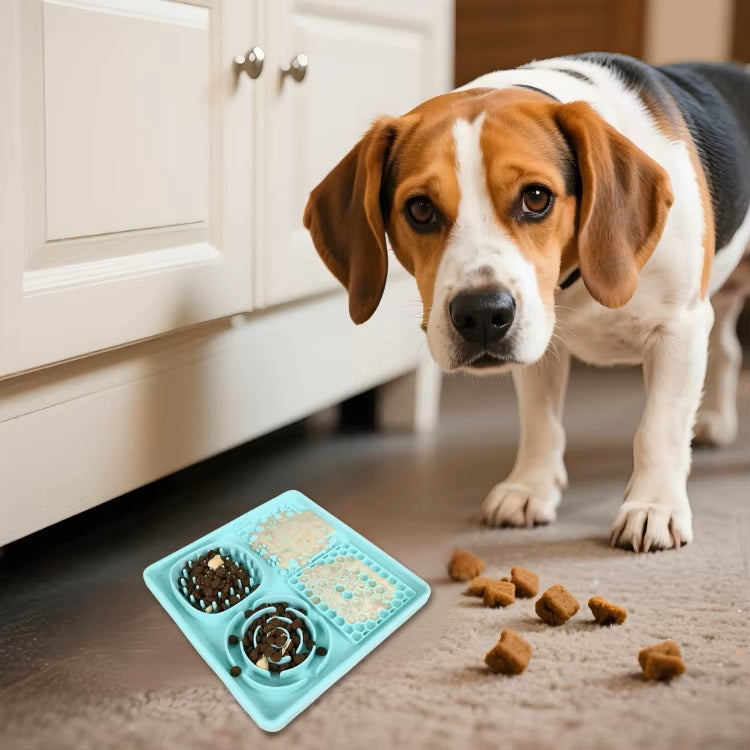 MindMunch™ Multi-Texture Feeding Tray