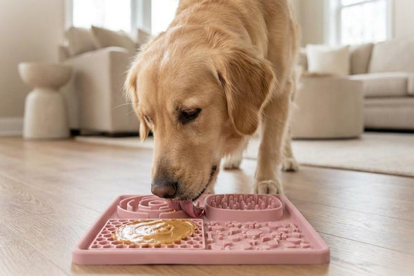 MindMunch™ Multi-Texture Feeding Tray